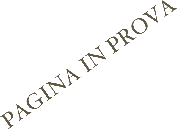 PAGINA IN PROVA